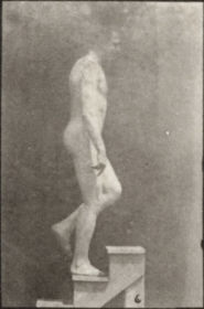 Plate 488 A: Lawn tennis. B: Dumbbells. C: Walking on hand. D: Ascending stairs — figure reference
